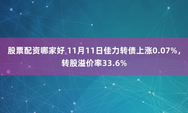 股票配资哪家好 11月11日佳力转债上涨0.07%,转股溢价率33.6%